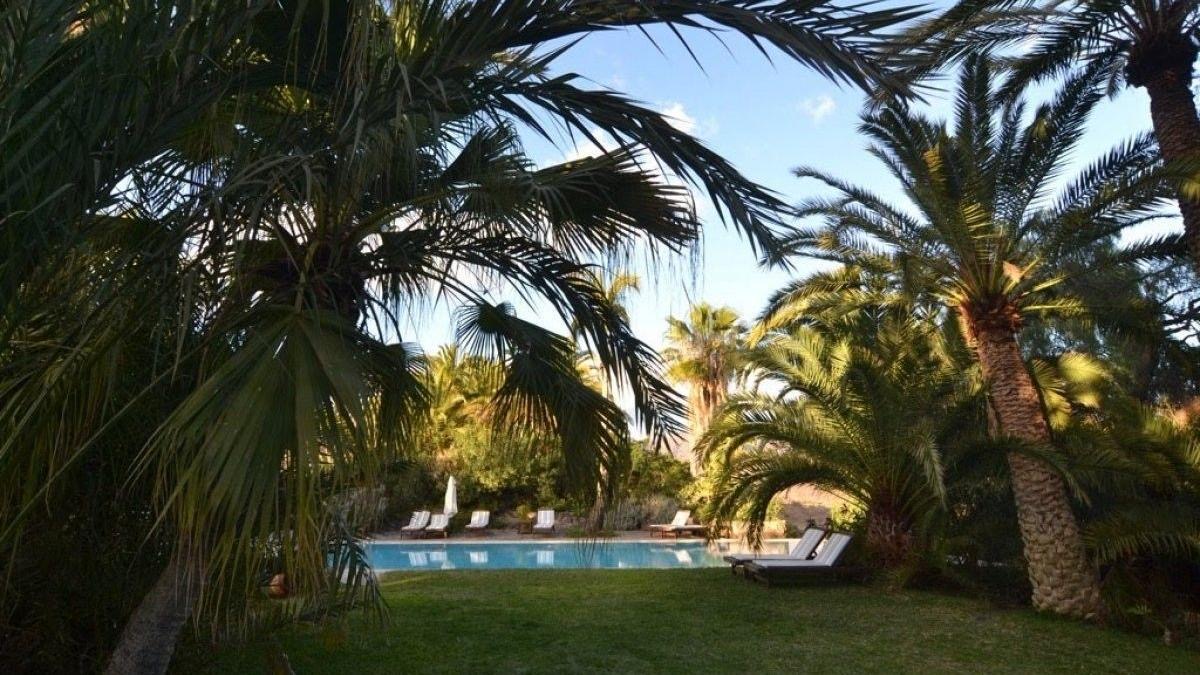 Pool und Palmen